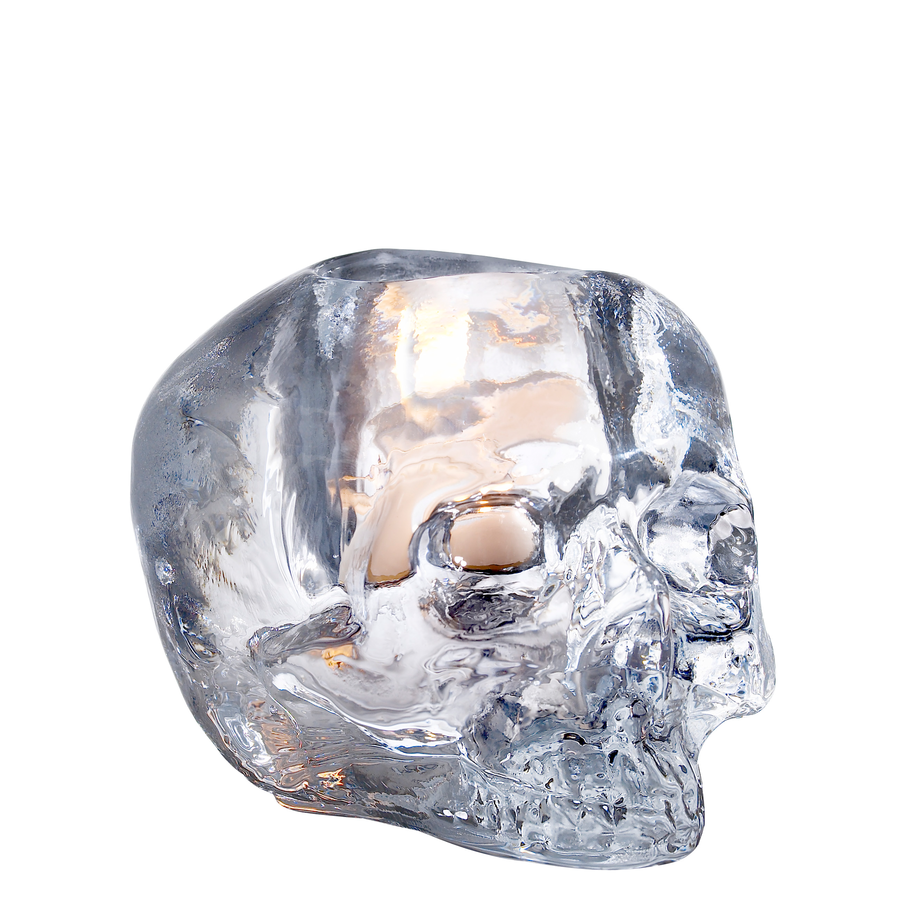 Metallic Skull transparent 