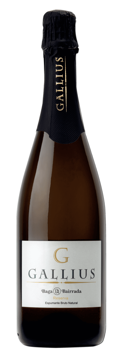 GALLIUS WHITE