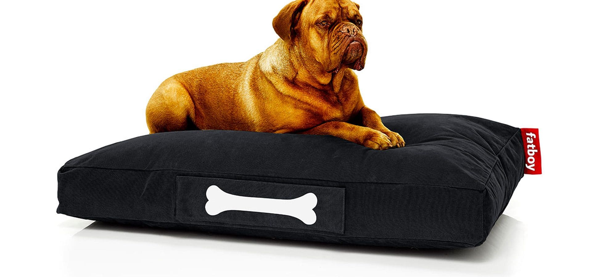 PETS: porque eles merecem